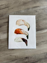 Print Vintage Botanical Collection